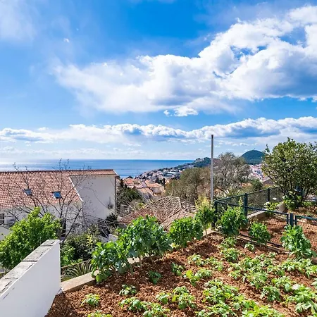 Debos Dubrovník