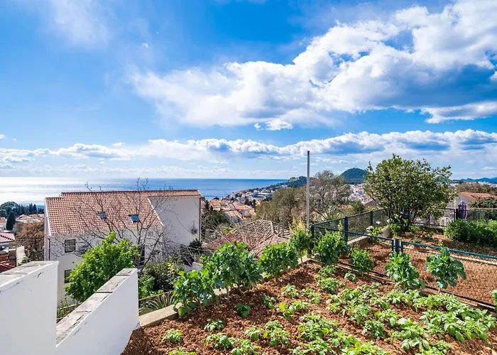 Debos Dubrovnik